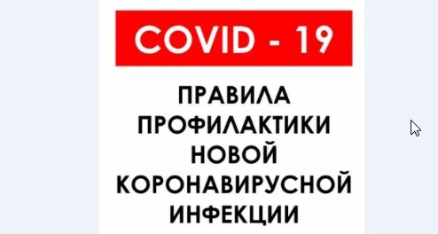 ПАМЯТКА ПЕДАГОГАМ ОБРАЗОВАТЕЛЬНЫХ ОРГАНИЗАЦИЙ ПО ПРОФИЛАКТИКЕ ОСТРОЙ РЕСПИРАТОРНОЙ ВИРУСНОЙ ИНФЕКЦИИ, В ТОМ ЧИСЛЕ НОВОЙ КОРОНАВИРУСНОЙ ИНФЕКЦИИ (COVID-19).