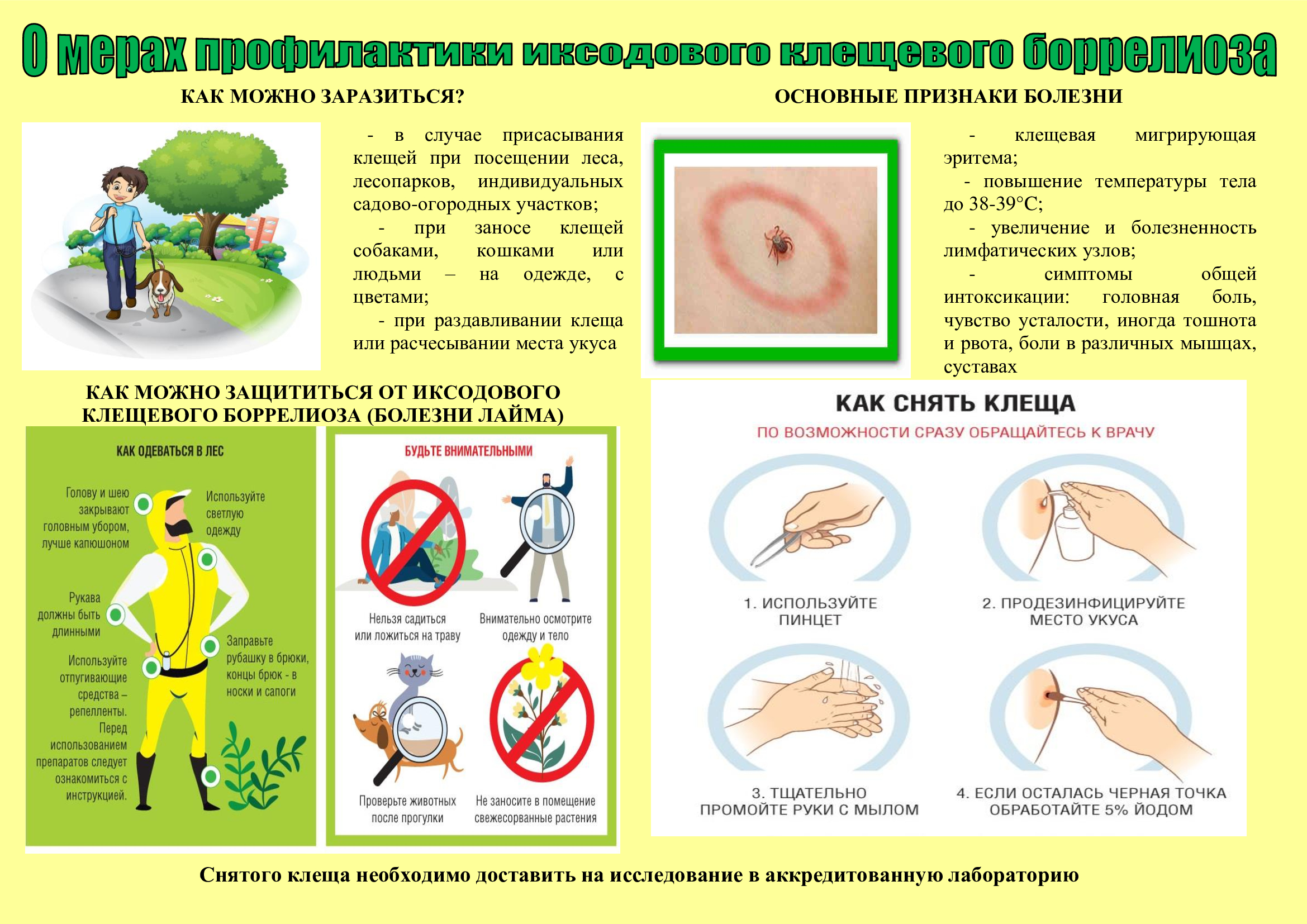 «Горячая линию» по вопросам профилактики клещевого энцефалита.